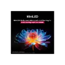 13.webp