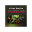 18.webp