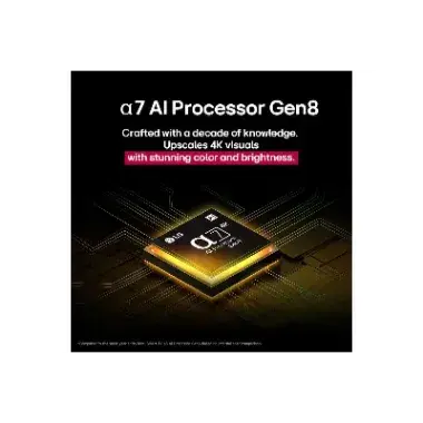 17.webp