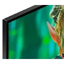 13.webp