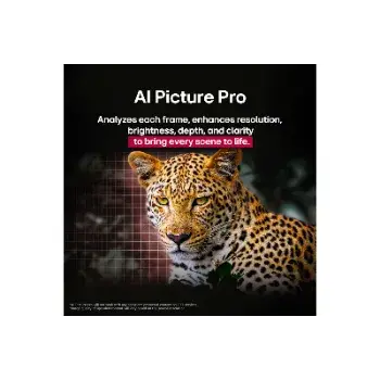 3.webp