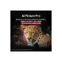 3.webp