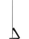 14.webp