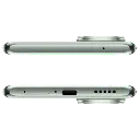 8.webp