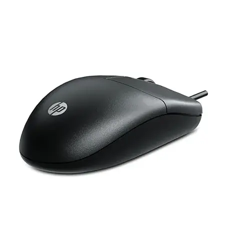 10.webp