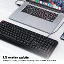14.webp