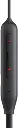 15.webp