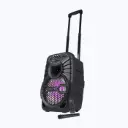 Zebronics Amplified Speaker 24 Watt TROLLY,X8L Black